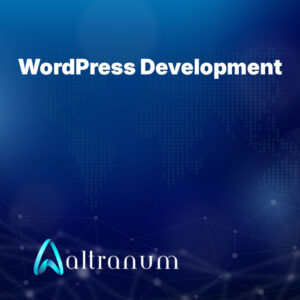WordPress Development - Premium Package